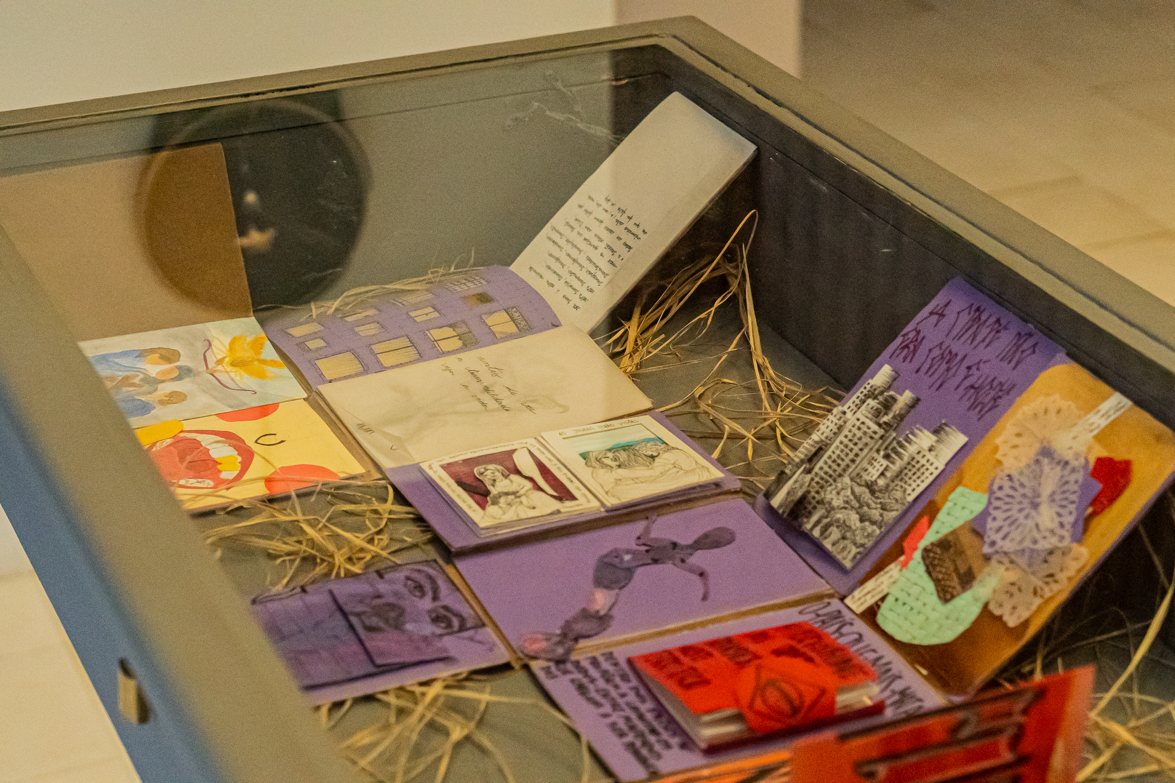  Fotografia de uma mesa expositora com tampa de vidro. Alguns  livretos e colagens coloridas e com títulos estão dispostas lado a lado, sobre algumas palhas da costa. Em um delas,  uma pintura de três pessoas sobre um fundo esbranquiçado e uma flor amarela na parte superior. A  outra é um rosto de pele amarela, olhos alaranjados circulares, uma letra U no lugar do nariz e lábios abertos com os dentes à mostra. Ao lado, uma capa com fundo roxo e desenho em preto, dos olhos de uma pessoa com sobrancelhas arqueadas. Na parte de cima, outra de capa lilás com desenho sinuoso de um corpo humano com os braços curvilíneos. Já na capa acima uma ilustração de prédios e o título em grafite “A cidade não era como hoje”. Ao lado, uma capa com colagens e estamparia colorida. Abaixo, sobre um de capa lilás, uma caderneta de capa vermelha e com um título em preto “hipervisibilidade dos corpos  transvertigeneres neste território”. A esquerda. mais duas cadernetas com textos ilegíveis. 
